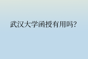 武汉大学函授有用吗?