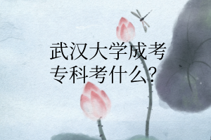 武汉大学成考专科考什么?