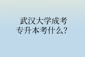 武汉大学成考专升本考什么?