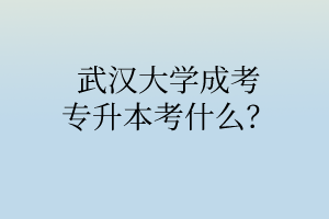 武汉大学成考专升本考什么？