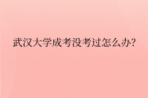 武汉大学成考没考过怎么办?