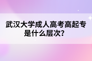 武汉大学成人高考高起专是什么层次?