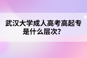 武汉大学成人高考高起专是什么层次？